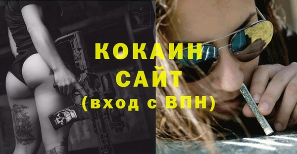 спайс Алексин