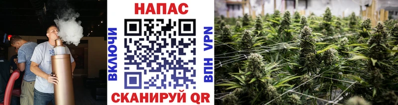 Канабис Bruce Banner  как найти закладки  Себеж 